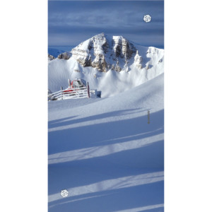 avalon7 Cody Peak neck gaiter design jackson hole, wyoming skiing and snowboarding