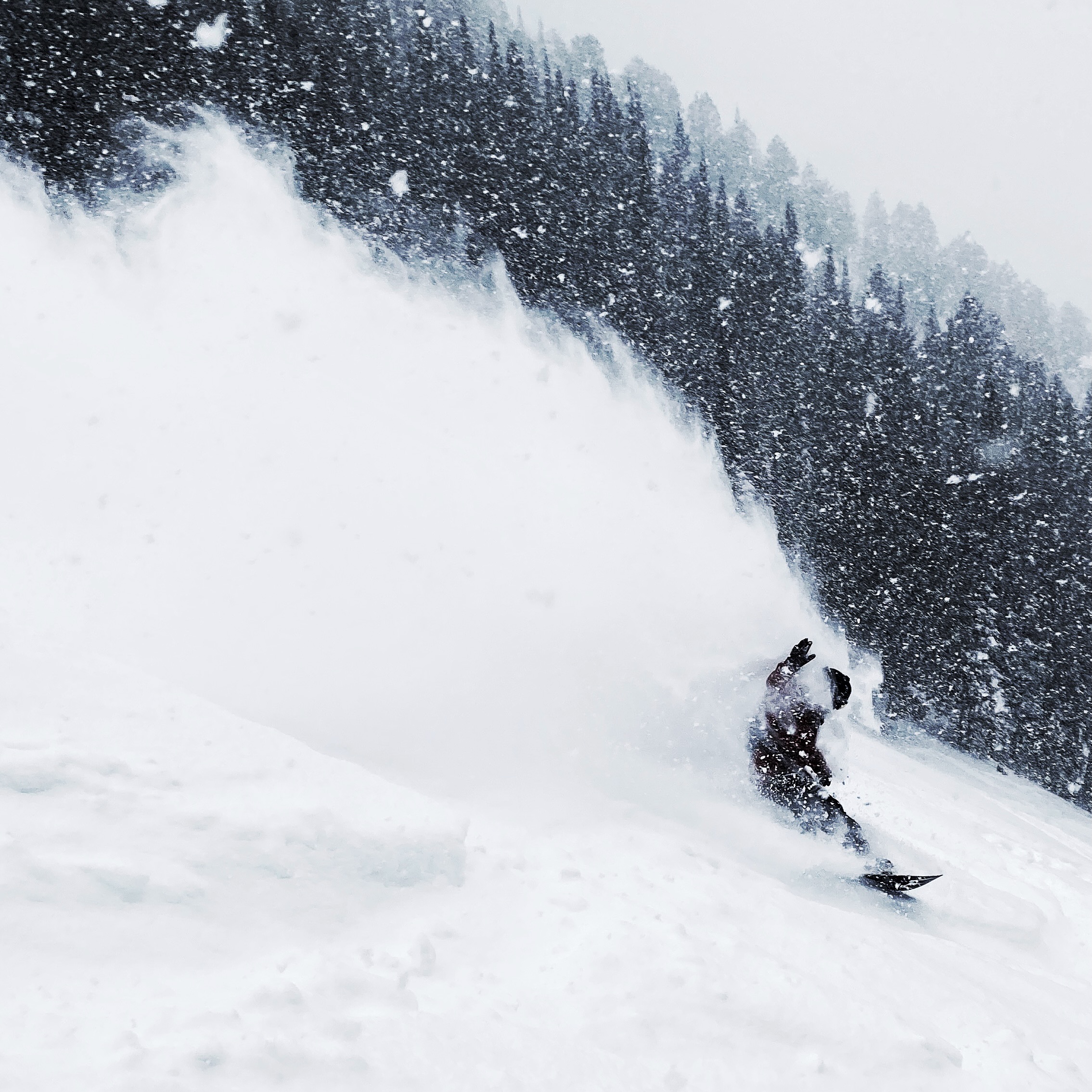 Rob Kingwill riding powder at Jackson Hole testing AVALON7 winter balaclavas